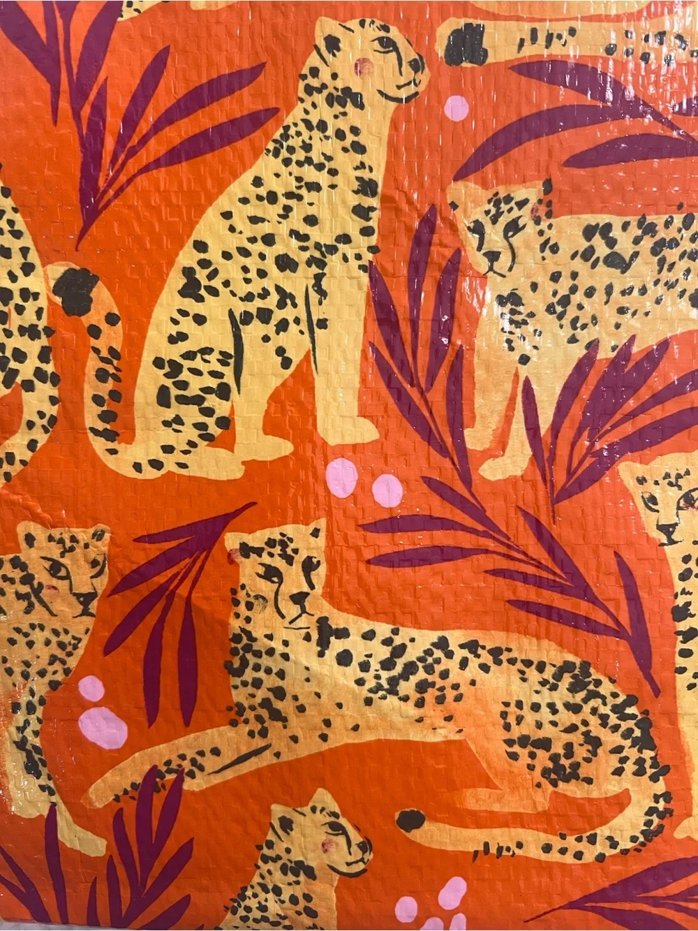 Blue Q Orange Leopard Print Zip Pouch